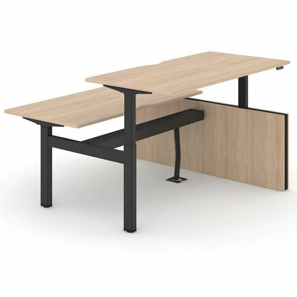 Sit Stand Desk (Motion Table)