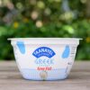 plain greek yogurt