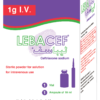 Lebacef 1g IV pack single